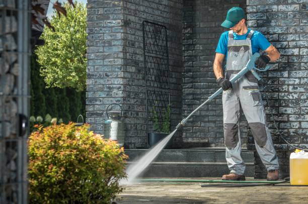 Best Graffiti Removal  in Greenup, IL